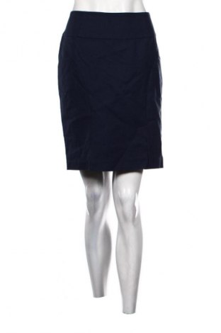 Sukňa Unbranded, Veľkosť L, Farba Modrá, Cena  5,95 €