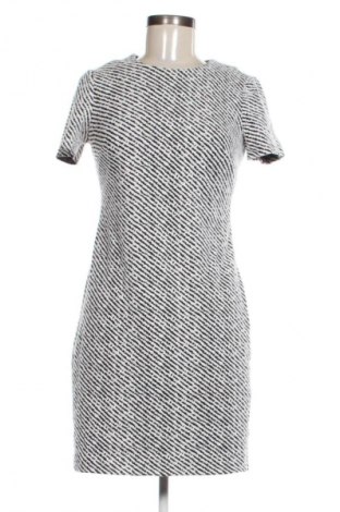 Šaty  Calvin Klein, Veľkosť XS, Farba Viacfarebná, Cena  39,95 €