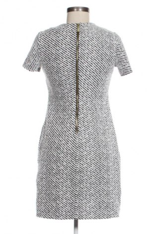 Šaty  Calvin Klein, Veľkosť XS, Farba Viacfarebná, Cena  39,95 €