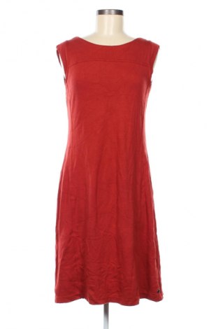 Sukienka Cecil, Rozmiar M, Kolor Czerwony, Cena 77,99 zł