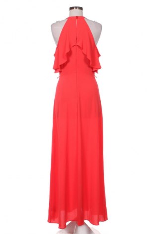 Kleid Dorothy Perkins, Größe M, Farbe Rot, Preis 17,00 €
