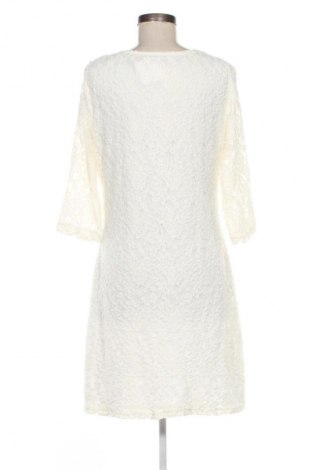 Kleid Fransa, Größe XL, Farbe Ecru, Preis 11,99 €