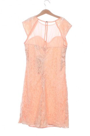 Φόρεμα Little Mistress, Μέγεθος S, Χρώμα Πορτοκαλί, Τιμή 55,24 €