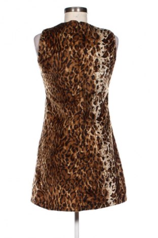 Kleid Miss Miss, Größe S, Farbe Mehrfarbig, Preis € 7,99