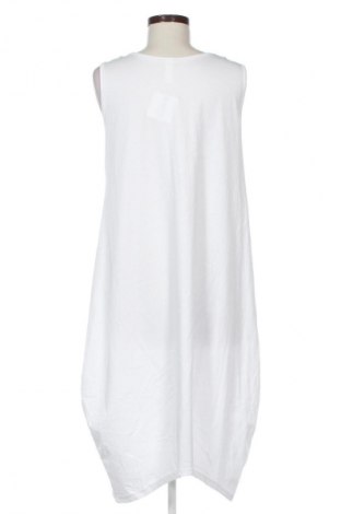 Sukienka NEW COLLECTION, Rozmiar M, Kolor Kolorowy, Cena 131,57 zł