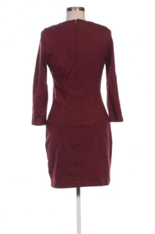 Kleid Naf Naf, Größe L, Farbe Rot, Preis 10,99 €