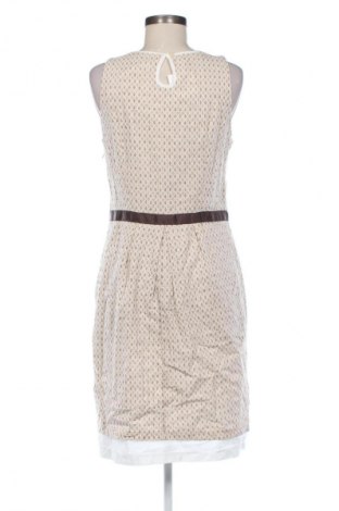 Kleid Promod, Größe M, Farbe Mehrfarbig, Preis € 25,00