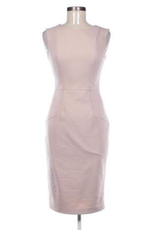 Kleid Raspberry, Größe S, Farbe Aschrosa, Preis 24,55 €