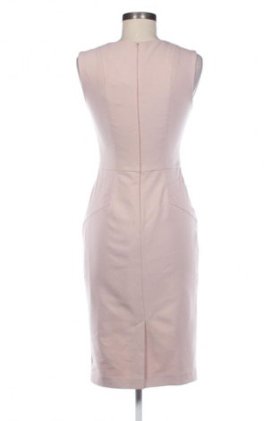 Kleid Raspberry, Größe S, Farbe Aschrosa, Preis 24,55 €