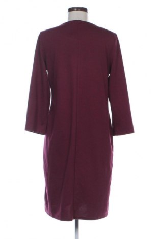 Šaty  Scottage, Veľkosť XL, Farba Viacfarebná, Cena  8,95 €