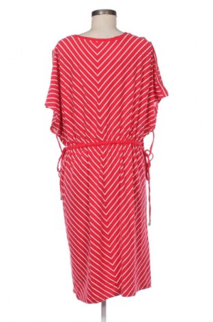 Sukienka Sheego, Rozmiar XL, Kolor Kolorowy, Cena 294,34 zł