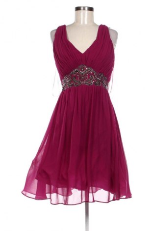 Kleid Showcase By Dorothy Perkins, Größe XL, Farbe Rosa, Preis 31,73 €