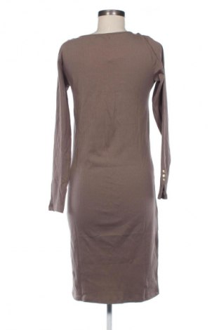 Šaty  Sinsay, Velikost XL, Barva Hnědá, Cena  567,00 Kč