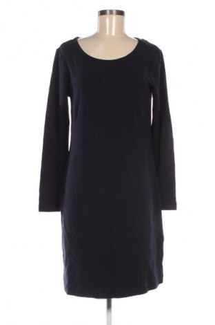 Sukienka Taifun, Rozmiar L, Kolor Niebieski, Cena 74,99 zł