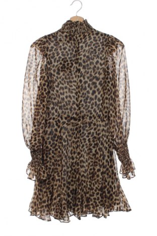 Kleid Zara, Größe S, Farbe Mehrfarbig, Preis € 21,99