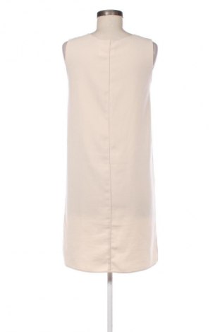 Kleid Zara, Größe M, Farbe Mehrfarbig, Preis € 14,00