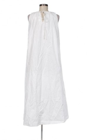 Kleid Zara, Größe S, Farbe Weiß, Preis € 17,46