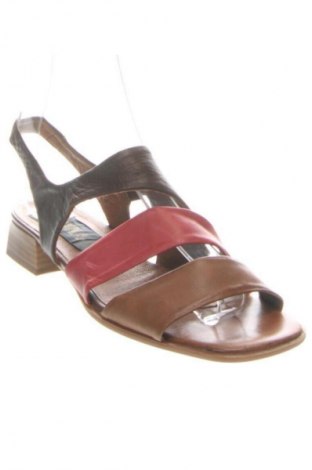 Sandalen Unbranded, Größe 39, Farbe Mehrfarbig, Preis € 34,99