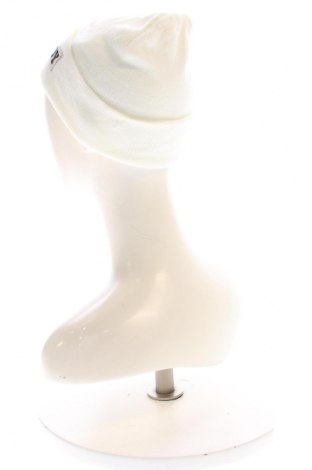 Čiapka  Playboy, Farba Viacfarebná, Cena  10,95 €