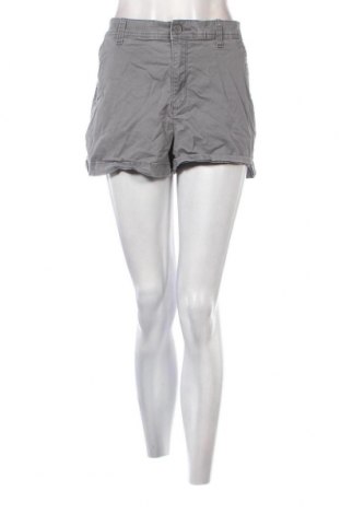 Γυναικείο κοντό παντελόνι A New Day, Μέγεθος L, Χρώμα Γκρί, Τιμή 3,46 €