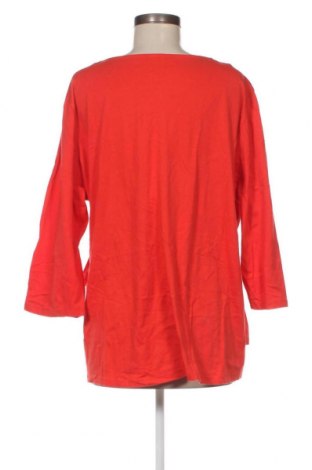 Γυναικεία μπλούζα, Μέγεθος M, Χρώμα Μαύρο, Τιμή 2,35 €