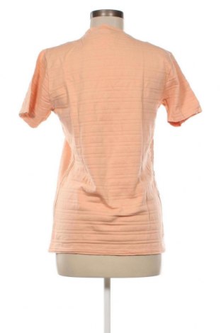 Γυναικεία μπλούζα, Μέγεθος XS, Χρώμα Ρόζ , Τιμή 11,75 €