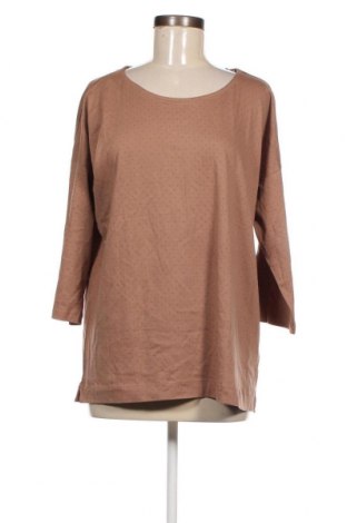 Γυναικεία μπλούζα Adagio, Μέγεθος XL, Χρώμα Καφέ, Τιμή 7,64 €