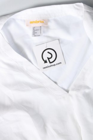Γυναικεία μπλούζα Ambria, Μέγεθος S, Χρώμα Λευκό, Τιμή 3,64 €