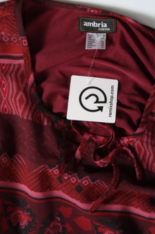 Γυναικεία μπλούζα Ambria, Μέγεθος L, Χρώμα Κόκκινο, Τιμή 3,53 €