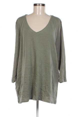 Γυναικεία μπλούζα Avella, Μέγεθος XXL, Χρώμα Πράσινο, Τιμή 8,93 €
