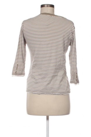 Γυναικεία μπλούζα Brax, Μέγεθος M, Χρώμα Πολύχρωμο, Τιμή 6,73 €