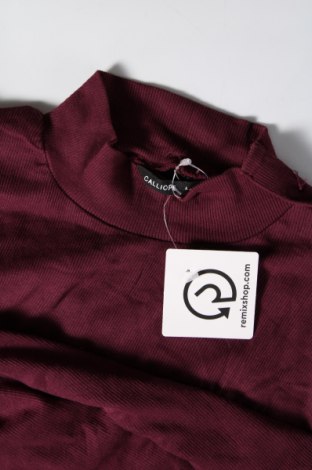 Γυναικεία μπλούζα Calliope, Μέγεθος L, Χρώμα Βιολετί, Τιμή 3,64 €
