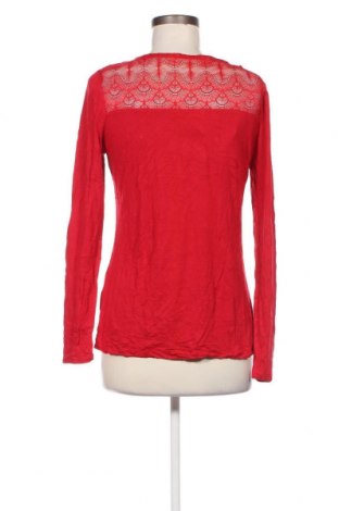 Damen Shirt Camaieu, Größe S, Farbe Rot, Preis 2,25 €