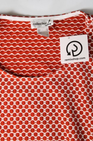 Damen Shirt Collection L, Größe XL, Farbe Mehrfarbig, Preis € 4,10