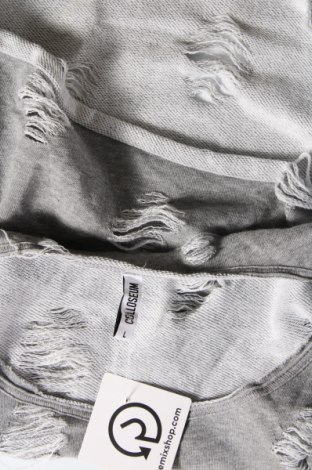 Γυναικεία μπλούζα Colloseum, Μέγεθος L, Χρώμα Γκρί, Τιμή 11,75 €