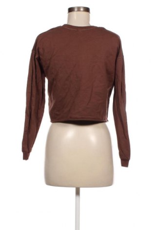Γυναικεία μπλούζα Colloseum, Μέγεθος XS, Χρώμα Καφέ, Τιμή 3,06 €