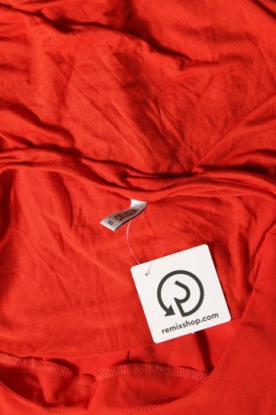 Damen Shirt Colloseum, Größe XL, Farbe Orange, Preis € 2,25