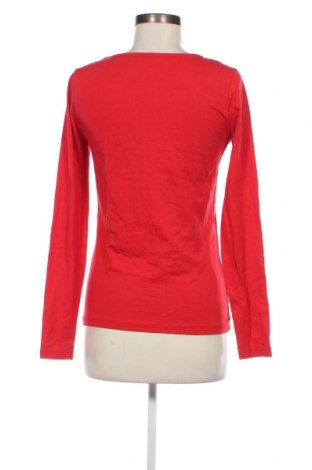 Damen Shirt Cubus, Größe L, Farbe Rot, Preis 13,22 €