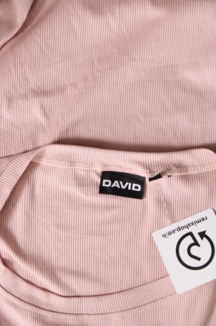 Γυναικεία μπλούζα DAVID, Μέγεθος S, Χρώμα Σάπιο μήλο, Τιμή 1,76 €