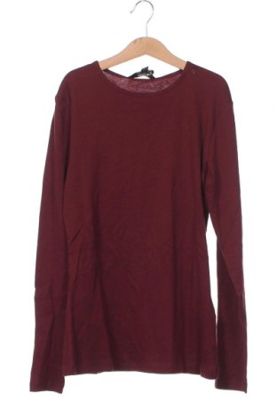 Γυναικεία μπλούζα Dorothy Perkins, Μέγεθος M, Χρώμα Κόκκινο, Τιμή 5,57 €