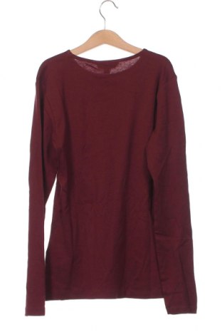 Damen Shirt Dorothy Perkins, Größe M, Farbe Rot, Preis 27,84 €