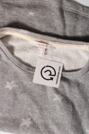 Damen Shirt Esprit, Größe XS, Farbe Grau, Preis € 2,51