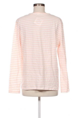 Γυναικεία μπλούζα Essentials, Μέγεθος XL, Χρώμα Πολύχρωμο, Τιμή 3,88 €