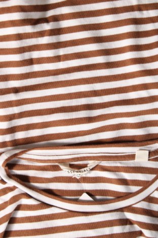 Γυναικεία μπλούζα Essentials by Tchibo, Μέγεθος XL, Χρώμα Πολύχρωμο, Τιμή 3,88 €