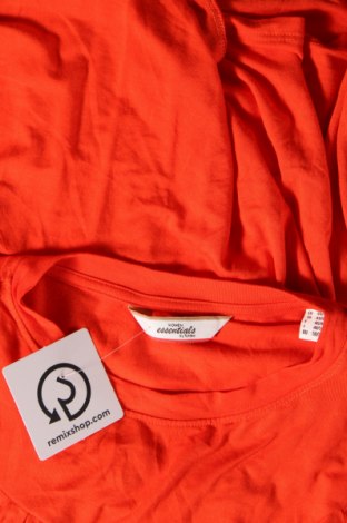 Γυναικεία μπλούζα Essentials by Tchibo, Μέγεθος XL, Χρώμα Κόκκινο, Τιμή 11,75 €