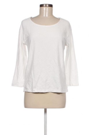 Γυναικεία μπλούζα Gina, Μέγεθος M, Χρώμα Λευκό, Τιμή 5,17 €