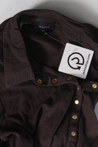 Damen Shirt Gant, Größe XL, Farbe Braun, Preis 36,83 €