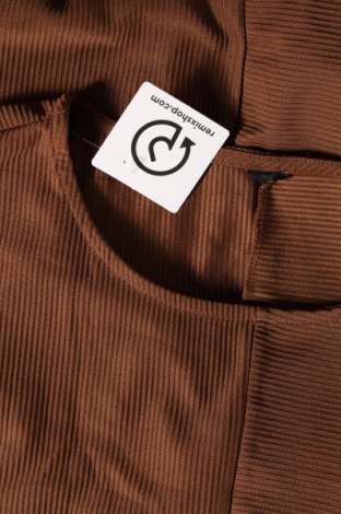 Damen Shirt Gina, Größe XXL, Farbe Braun, Preis € 10,18