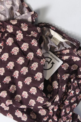Damen Shirt H&M, Größe M, Farbe Lila, Preis 13,22 €