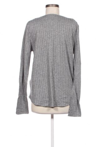 Damen Shirt Hollister, Größe L, Farbe Grau, Preis € 37,11